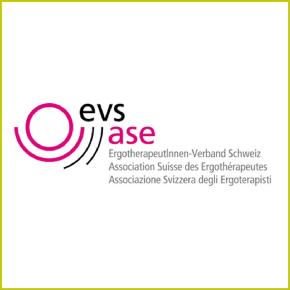 lindenhof-oftringen_unsere-partner_evs-ase.jpg